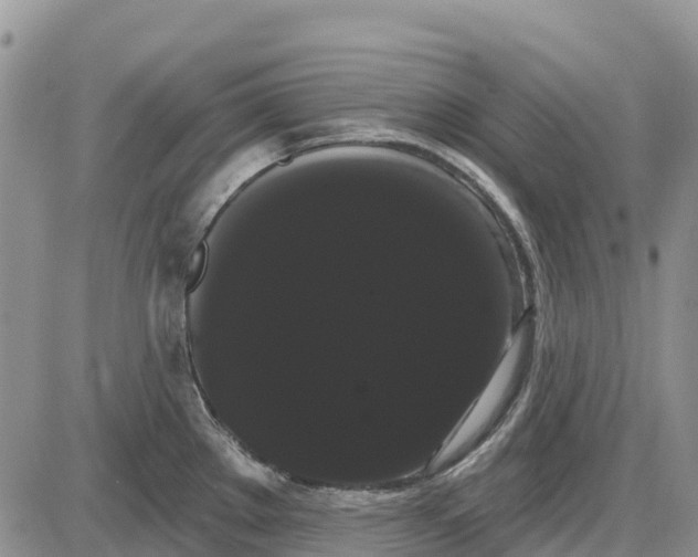 X0000085041289200703191223