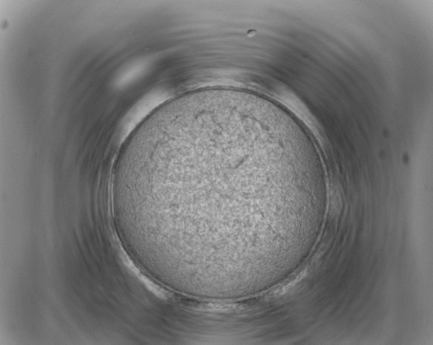 X0000085041290200703191223