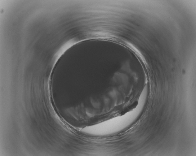 X0000085041291200703191223