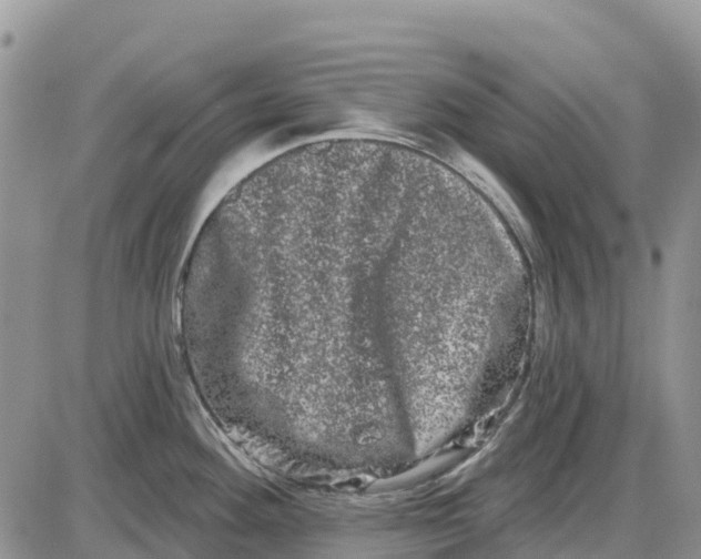 X0000085041292200703191223