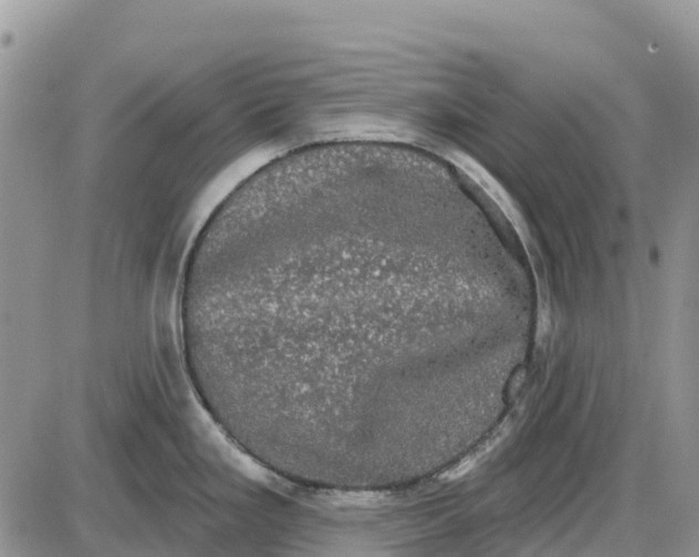 X0000085041293200703191223