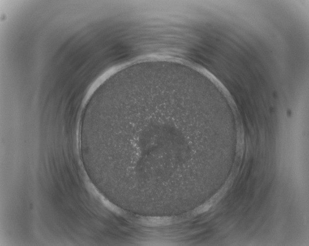 X0000085041294200703191223