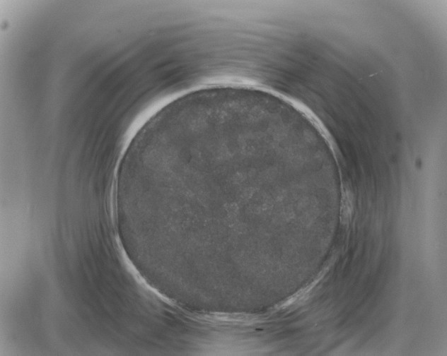 X0000085041295200703191223