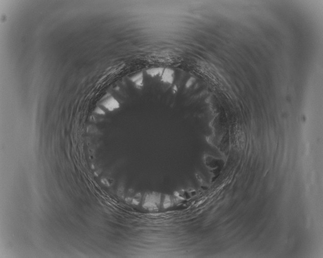 X0000085041297200703191222