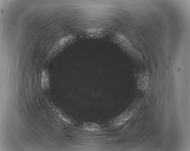 X0000085041298200703191222