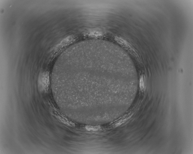 X0000085041299200703191222