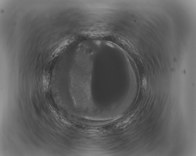 X0000085041300200703191222