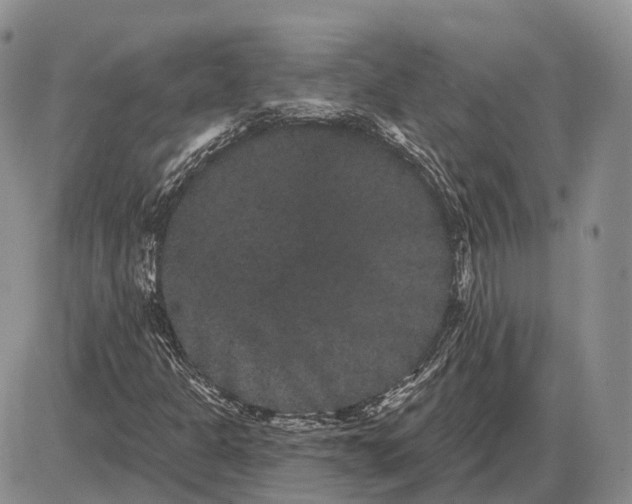 X0000085041301200703191223