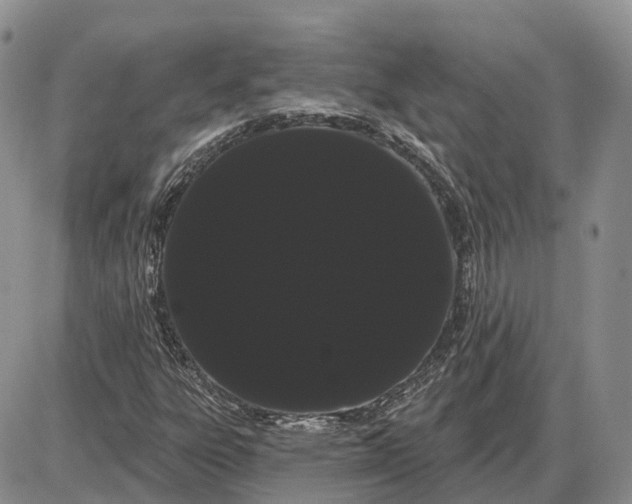 X0000085041303200703191223