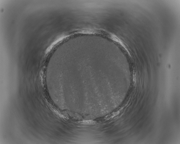 X0000085041304200703191223