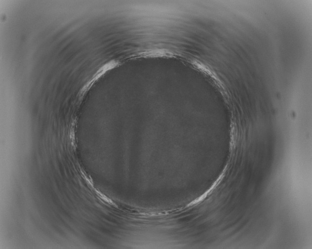 X0000085041305200703191223