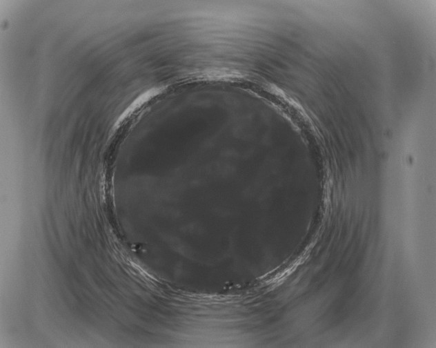 X0000085041306200703191223