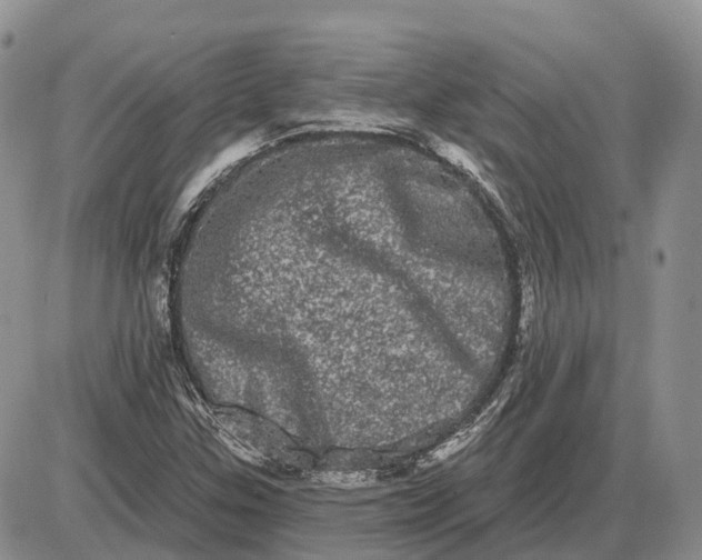 X0000085041307200703191223