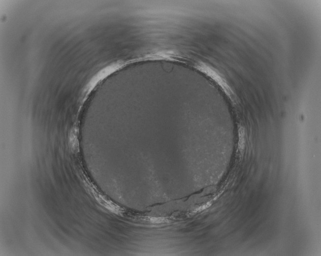 X0000085041308200703191223