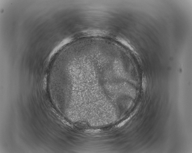 X0000085041309200703191223