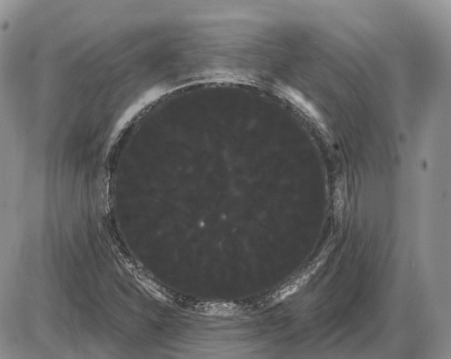 X0000085041310200703191223