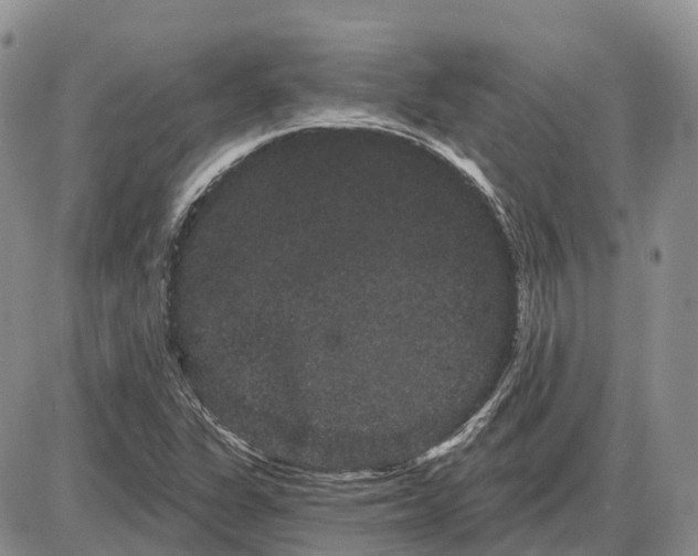 X0000085041311200703191223