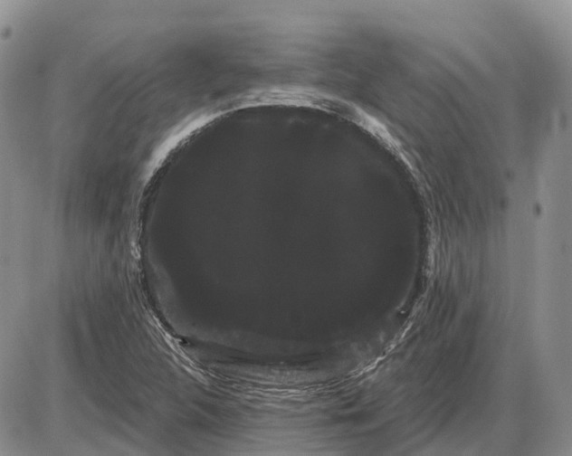 X0000085041312200703191223