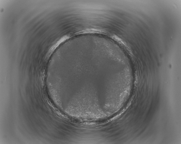 X0000085041313200703191223