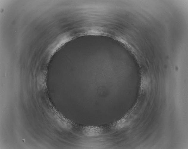 X0000085041314200703191223