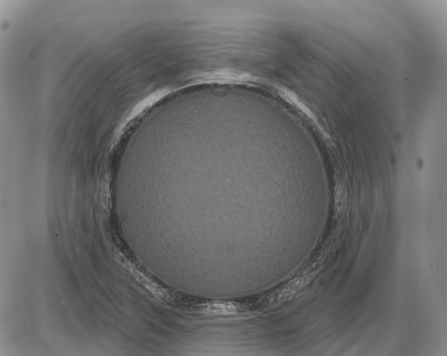 X0000085041315200703191223