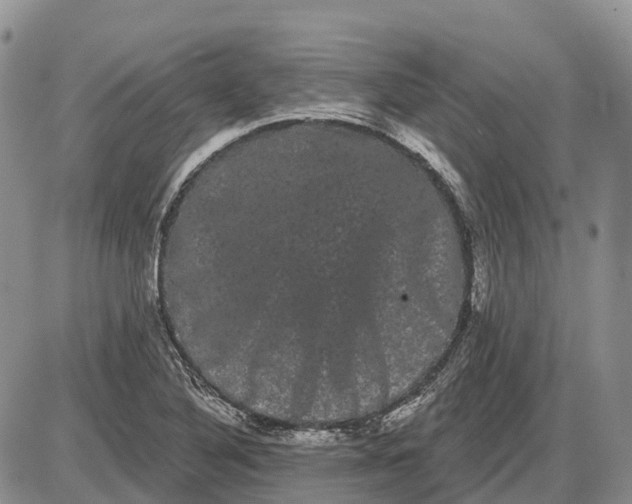 X0000085041316200703191223