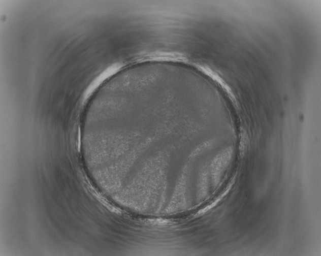 X0000085041317200703191223