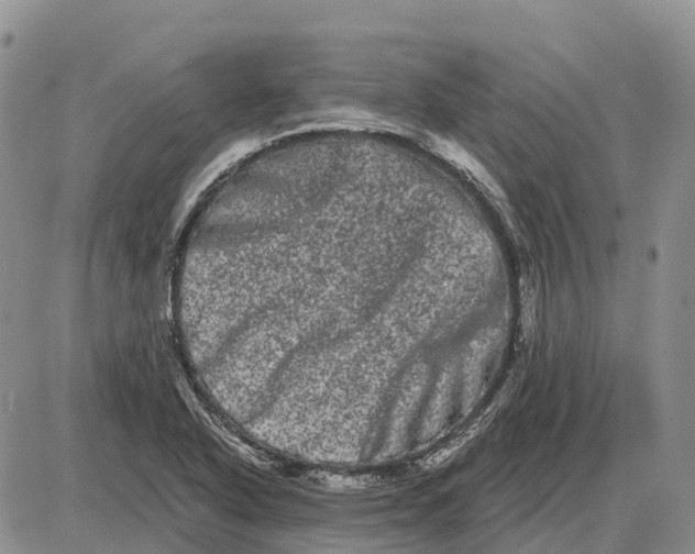 X0000085041318200703191223