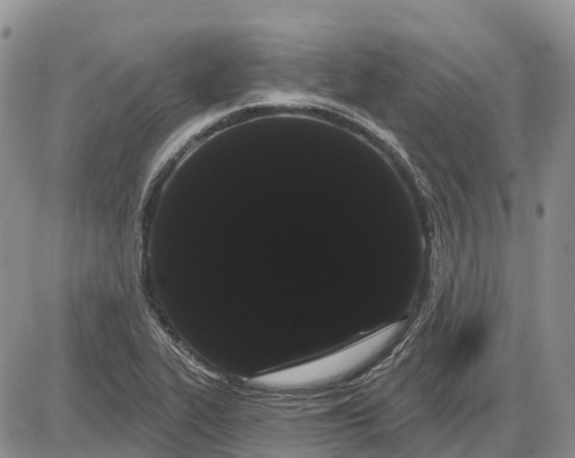 X0000085041319200703191223