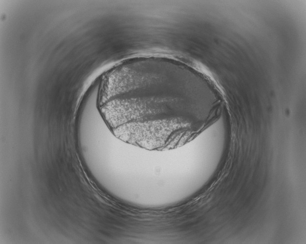 X0000085041320200703191223