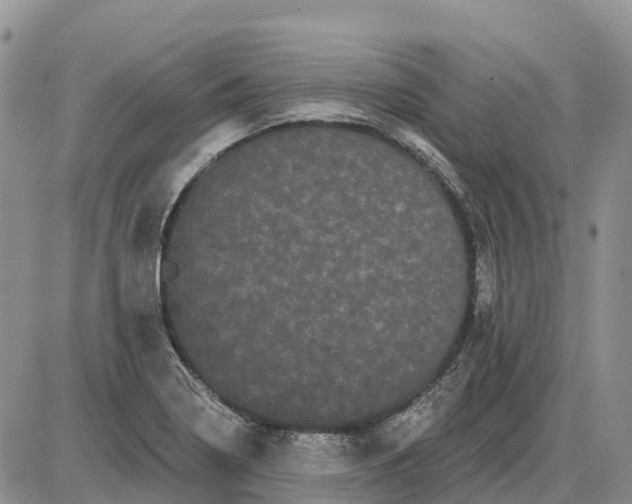 X0000085041322200703191223