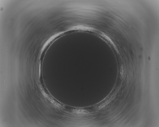 X0000085041323200703191223