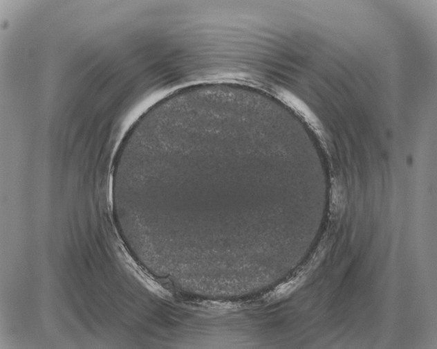 X0000085041324200703191223