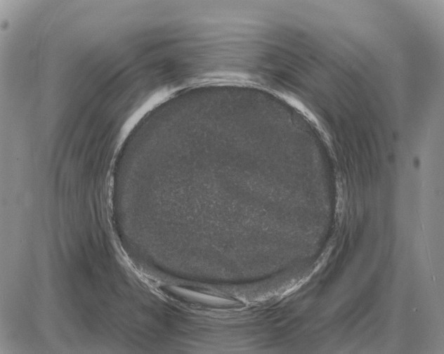 X0000085041325200703191223