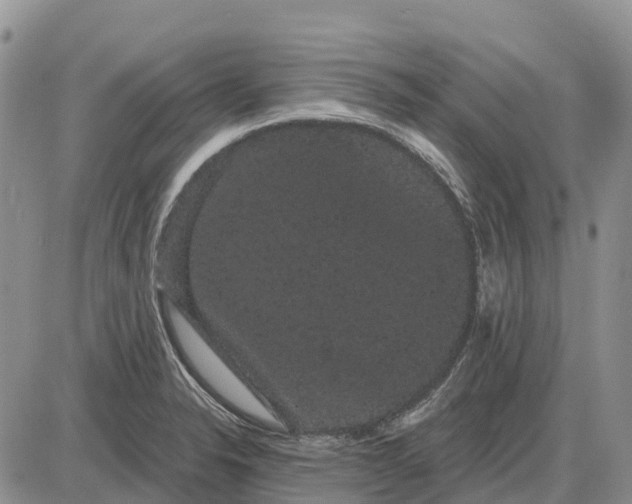 X0000085041326200703191223