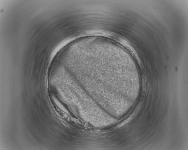 X0000085041328200703191223