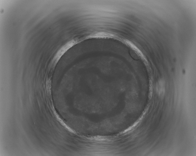 X0000085041329200703191223