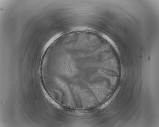 X0000085041330200703191223