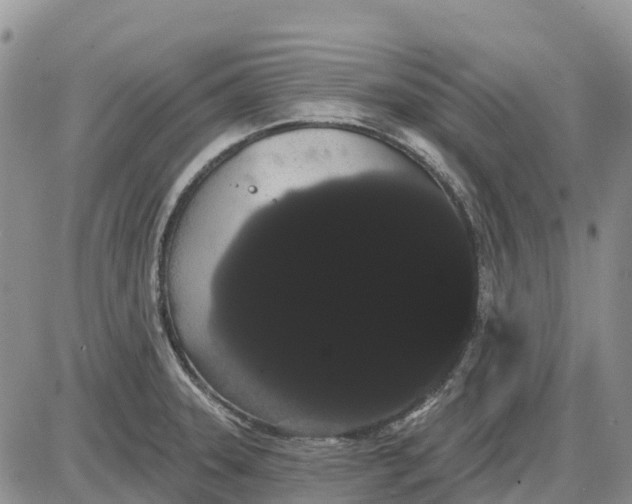 X0000085041331200703191223