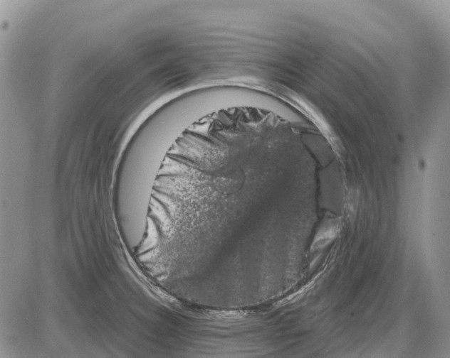 X0000085041332200703191223