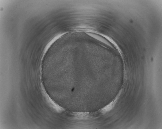 X0000085041333200703191223