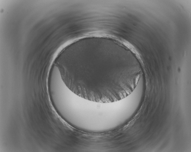 X0000085041334200703191223