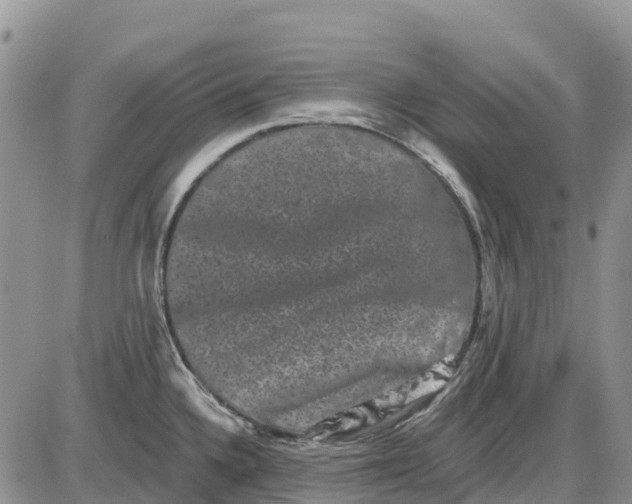 X0000085041336200703191223