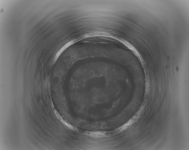 X0000085041337200703191223