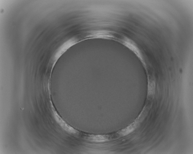 X0000085041338200703191223