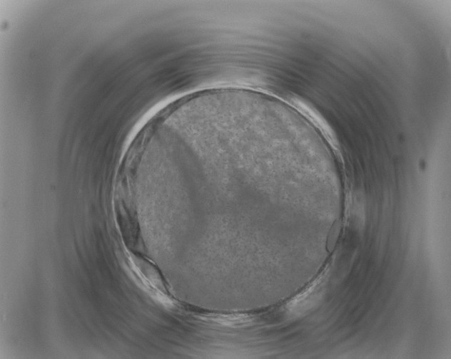 X0000085041340200703191223