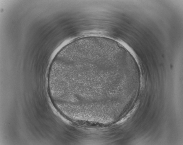 X0000085041341200703191223