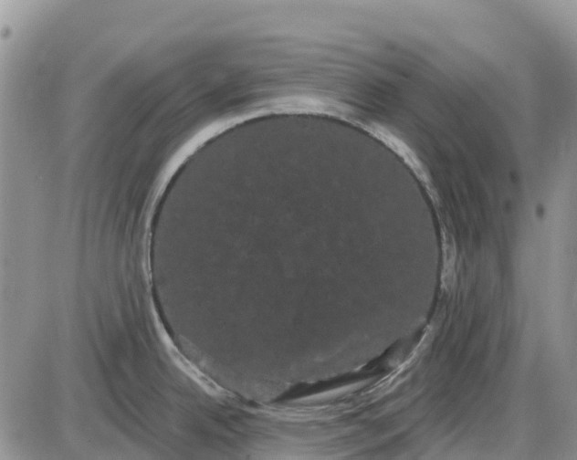 X0000085041342200703191223