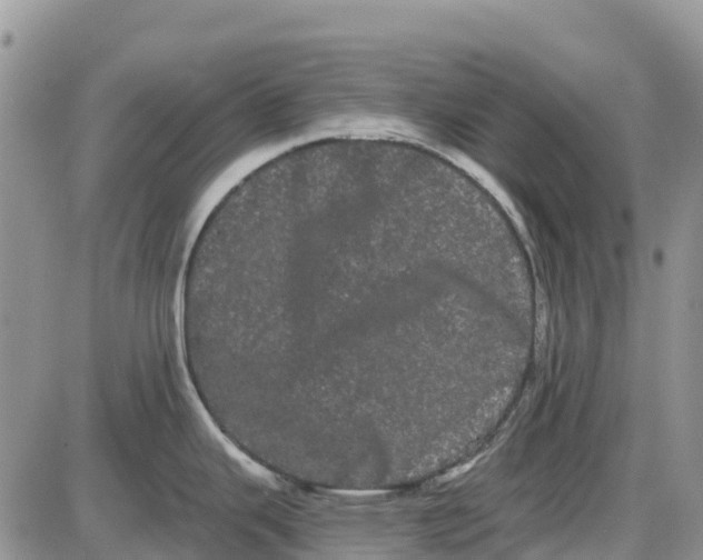 X0000085041343200703191223