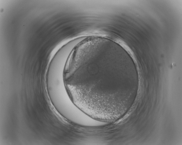 X0000085041344200703191223